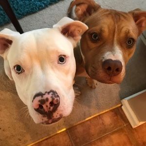 Meet your Posher, Lonnie